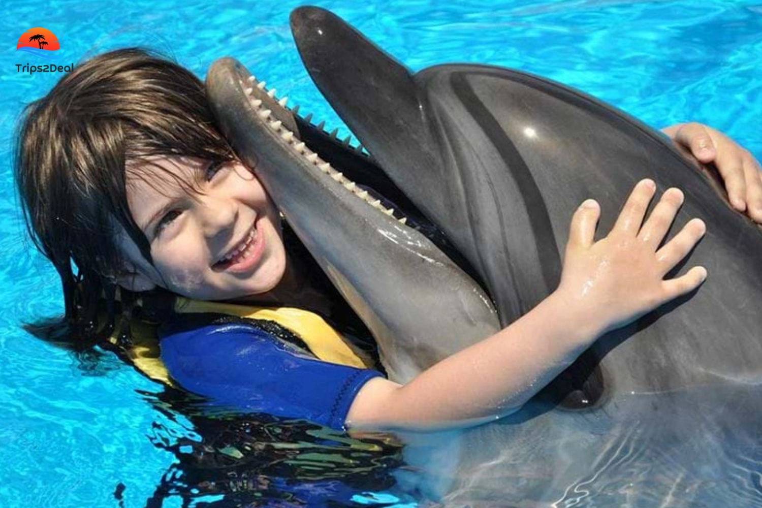 1 Hour Show at Dolphin World with Hotel Pickup