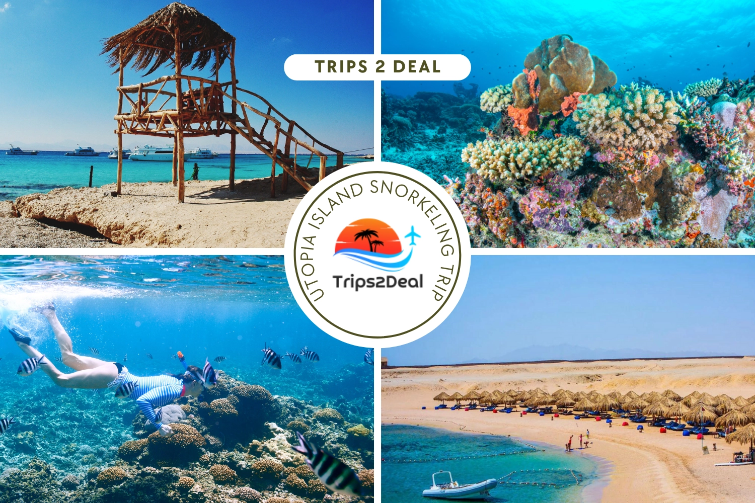Full-Day Snorkeling Trip to Utopia Island from Hurghada