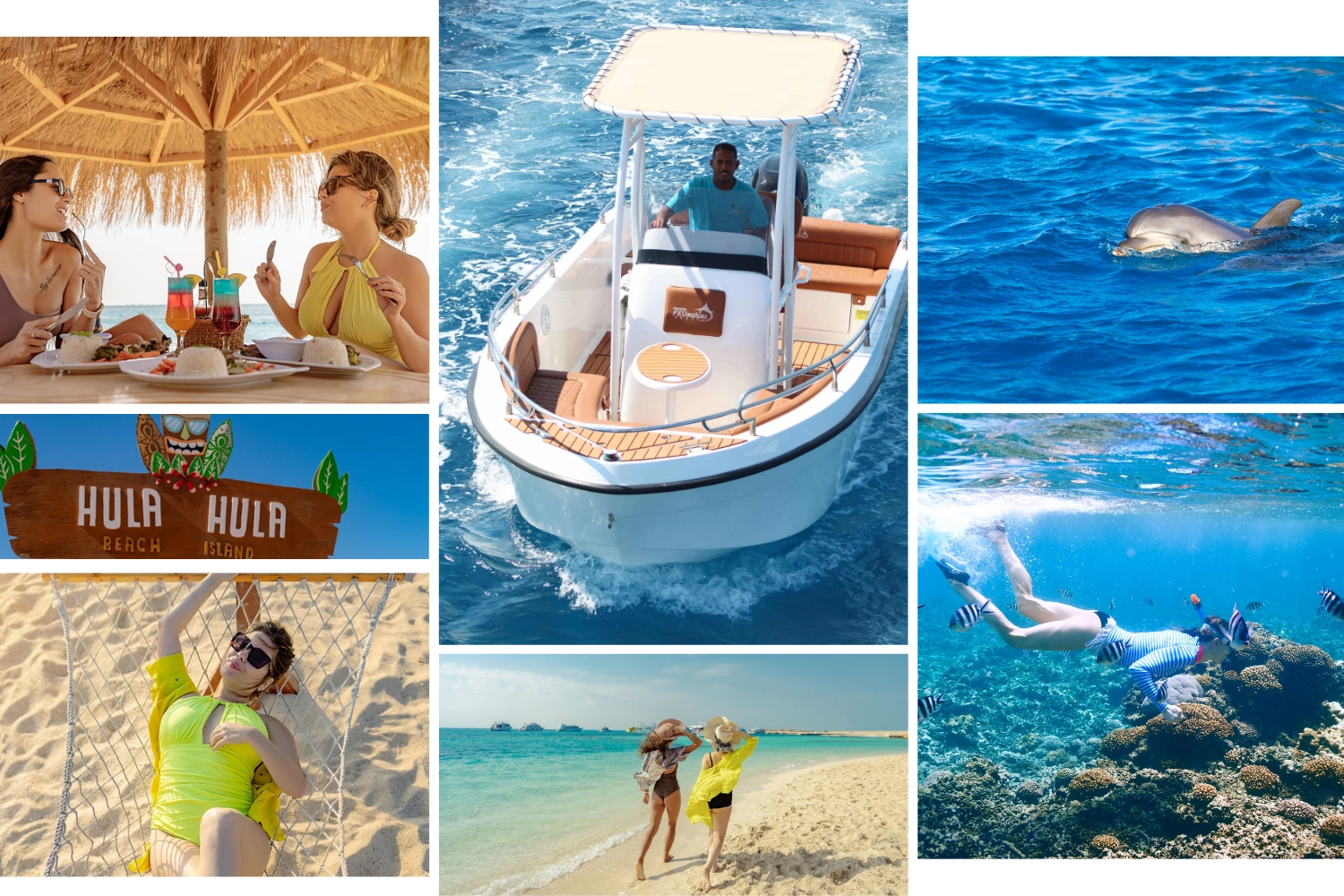 Hula Hula Beach Island and Dolphin House Trip By Speed Boat