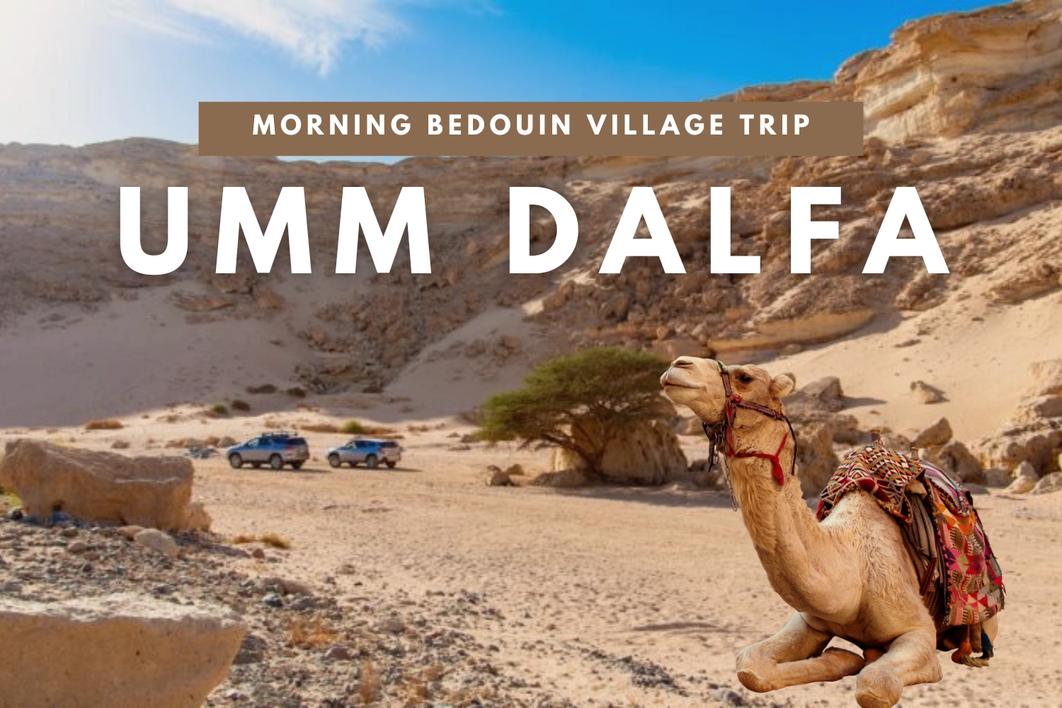 Trip to Umm Dalfa Bedouin Village in  Morning