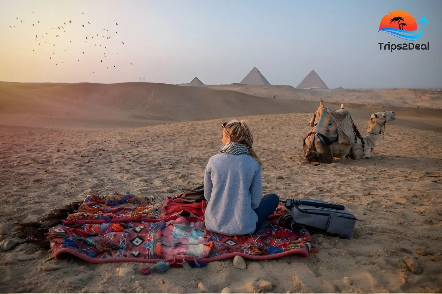 Pyramids Tour in Cairo for Half a Day