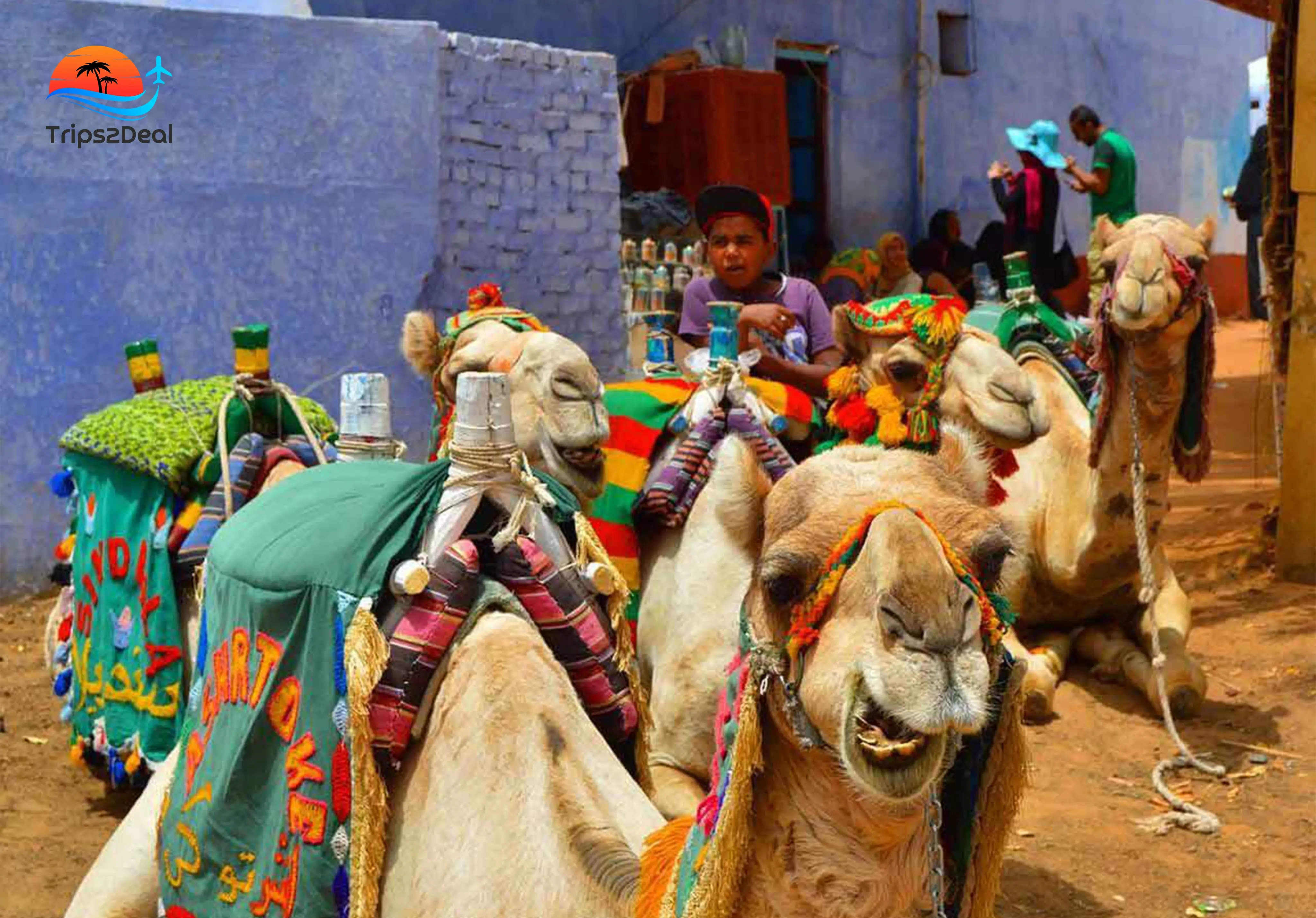 Afternoon Tour ATV Quad with Echo Mountain from Sharm El Sheikh