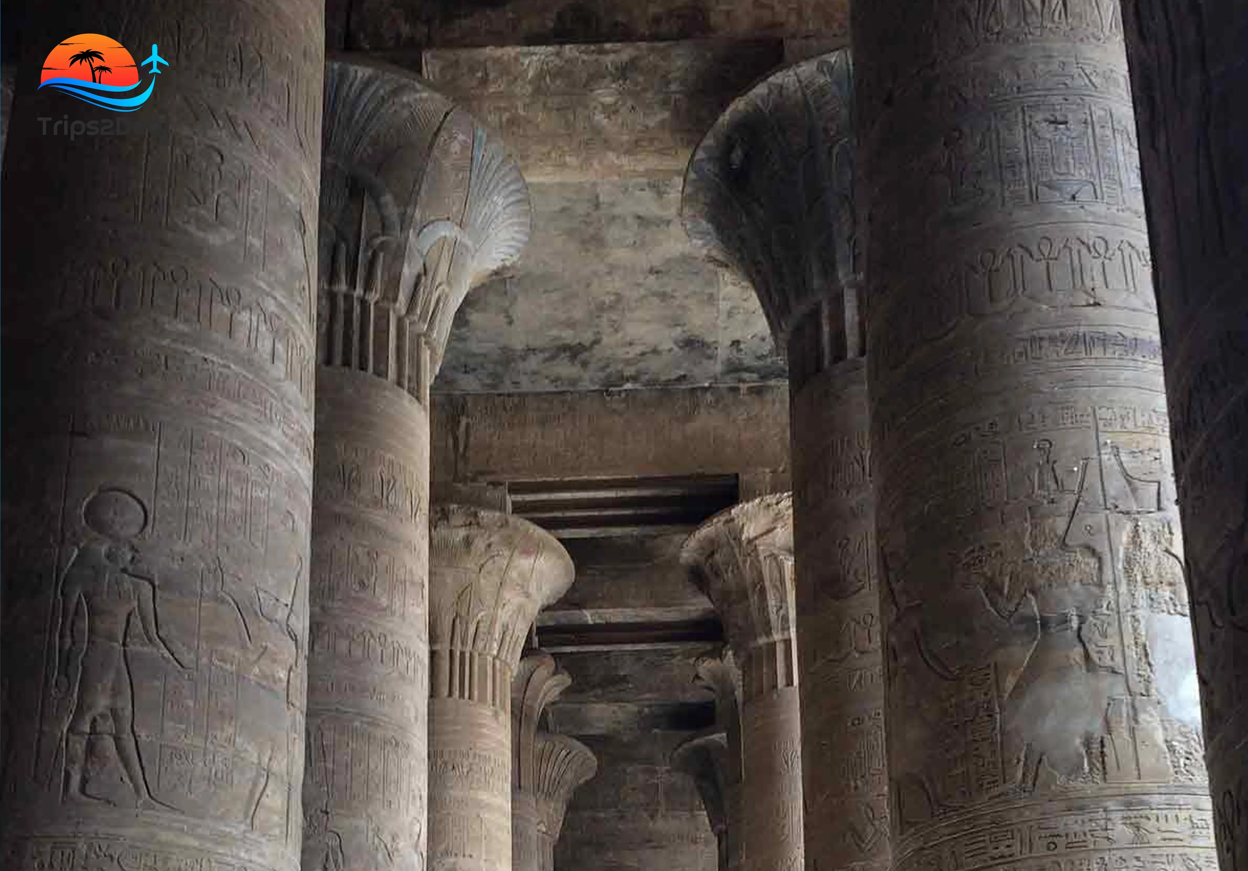 excursión de un día a edfu y al templo de kom ombo desde marsa alam