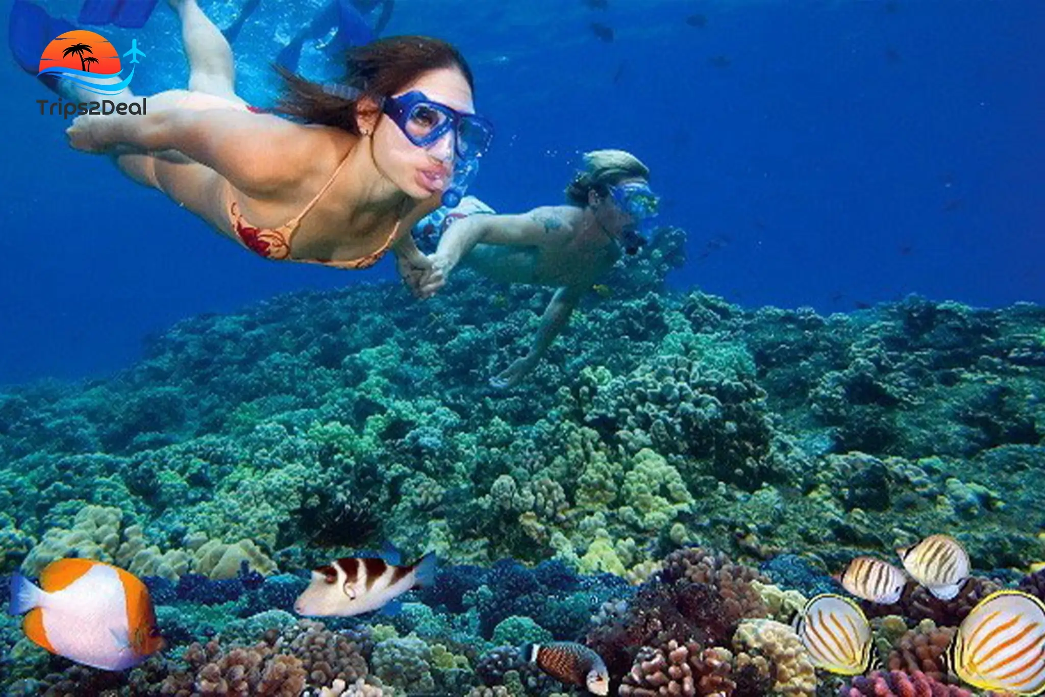 Excursion de plongée avec masque et tuba avec déjeuner buffet de Sharm El Sheikh à Ras Mohammed sur un bateau à voile pirate