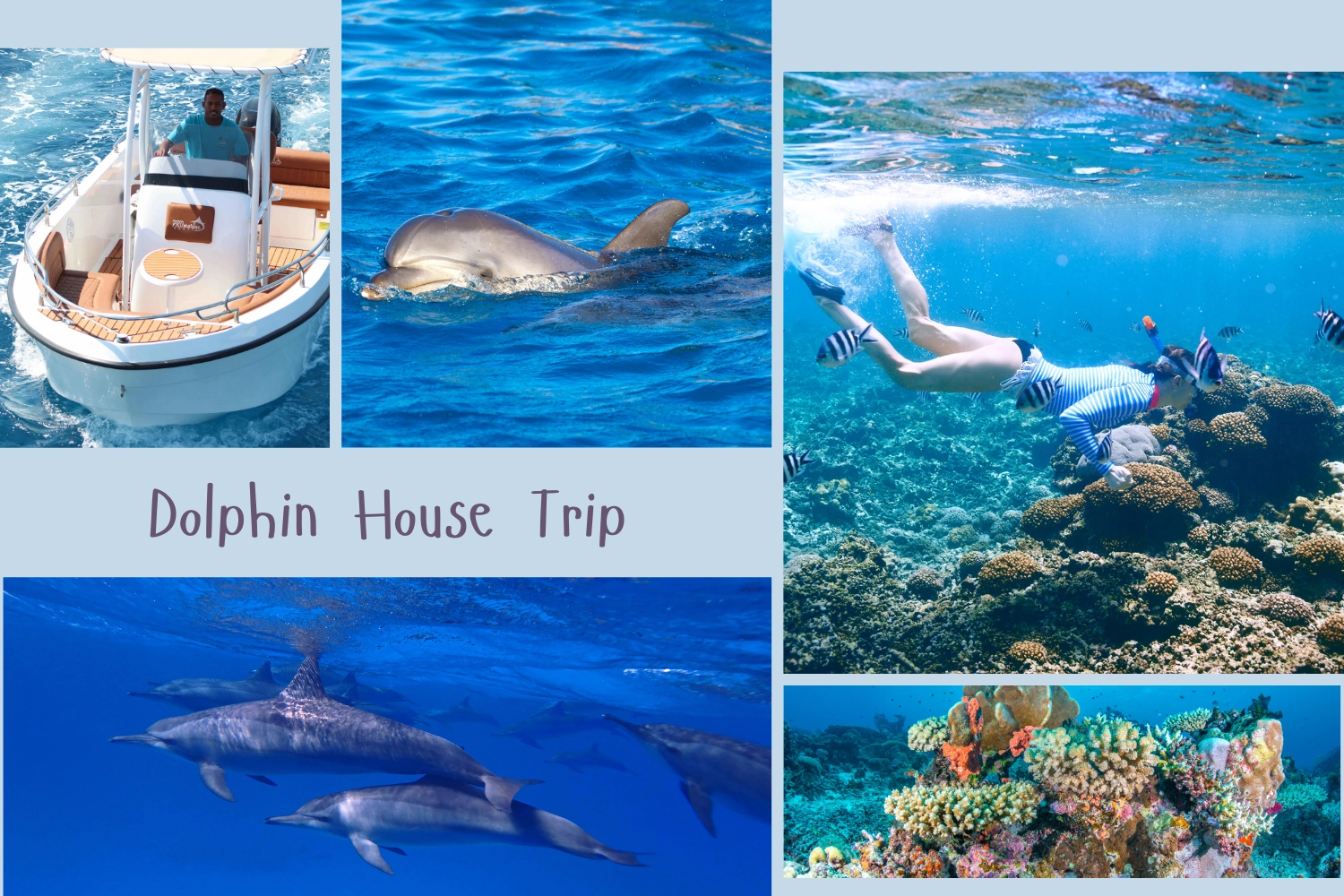 Hurghada: Dolphin House Trip with Snorkeling and Lunch