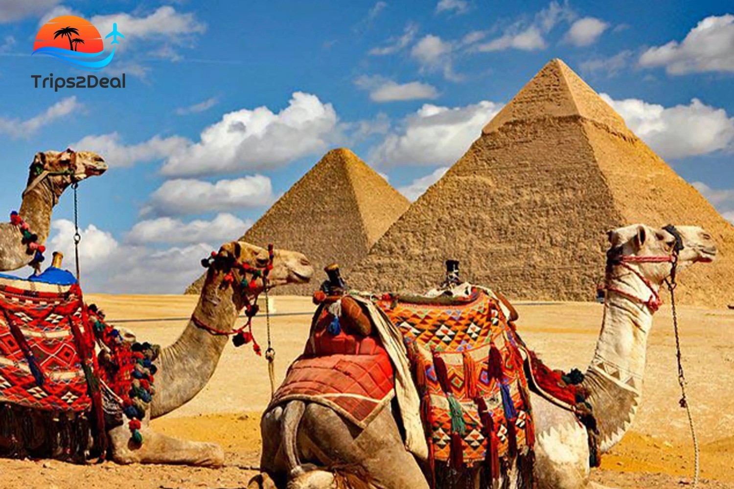 Hurghada: Over Day Trip to Cairo and Giza with Lunch Small Group Max 8-15