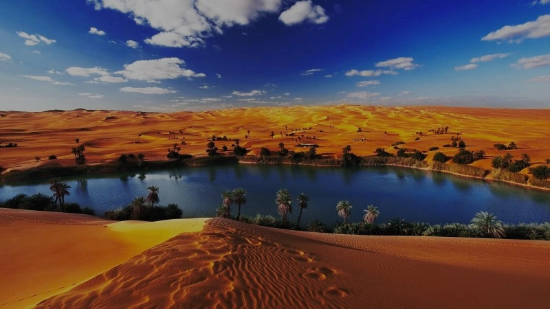 A Wonderful day Tour from Cairo to the Fayoum Oasis