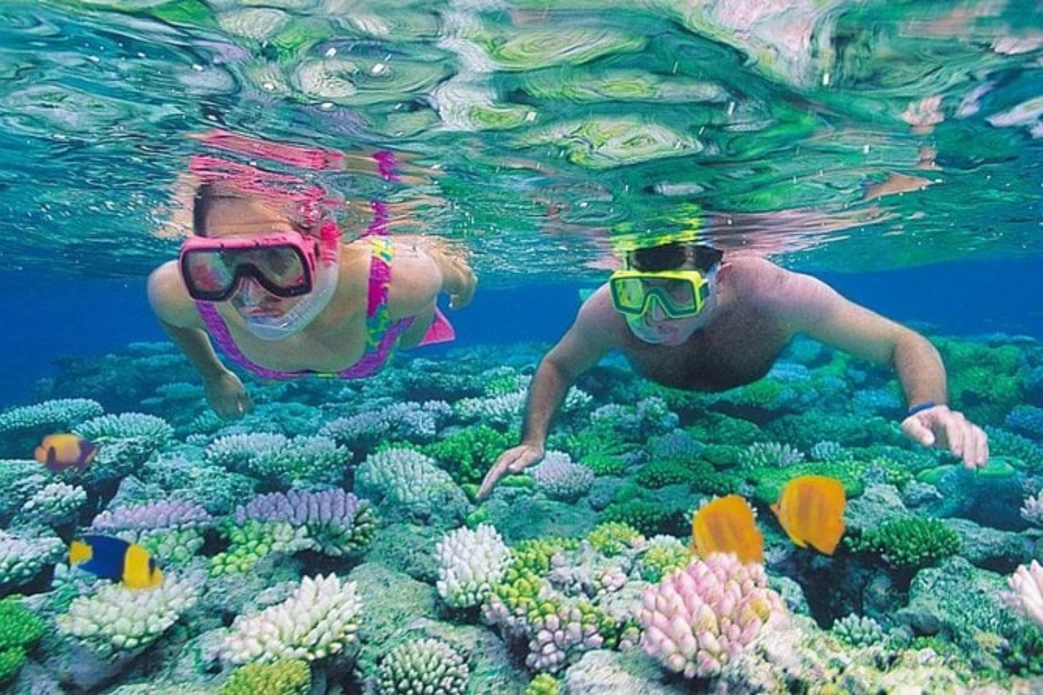 Hurghada: Sharm El Naga Full-Day Snorkeling Tour