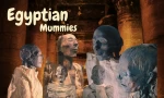 Ancient Egyptian Mummies With Real Potos