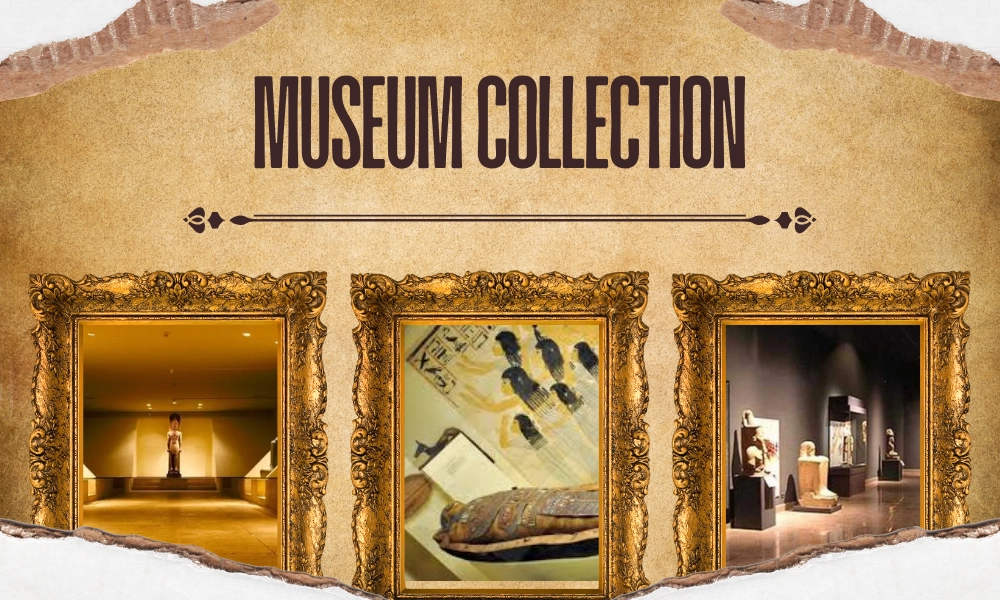Museum Collection