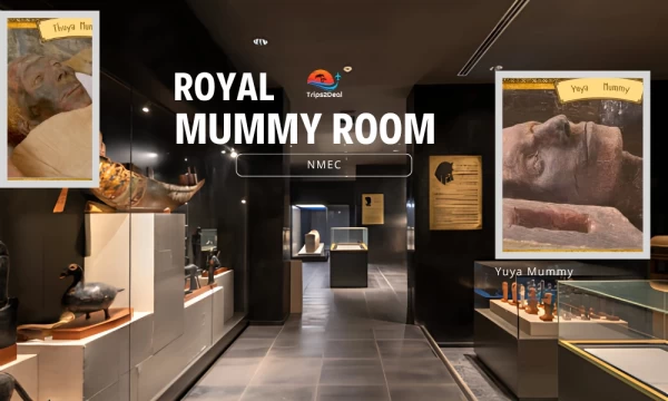 Royal Mummy Room